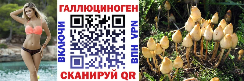 Псилоцибиновые грибы Cubensis  Купить  Александровск 